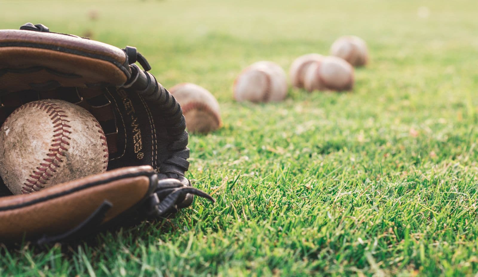 Leather glove with a baseball on the grass